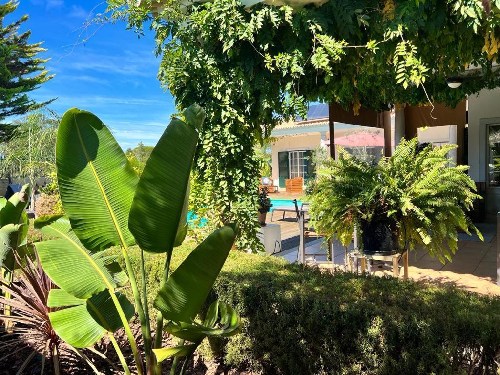 Buganvilias Do Meco Guest House Sesimbra Luaran gambar