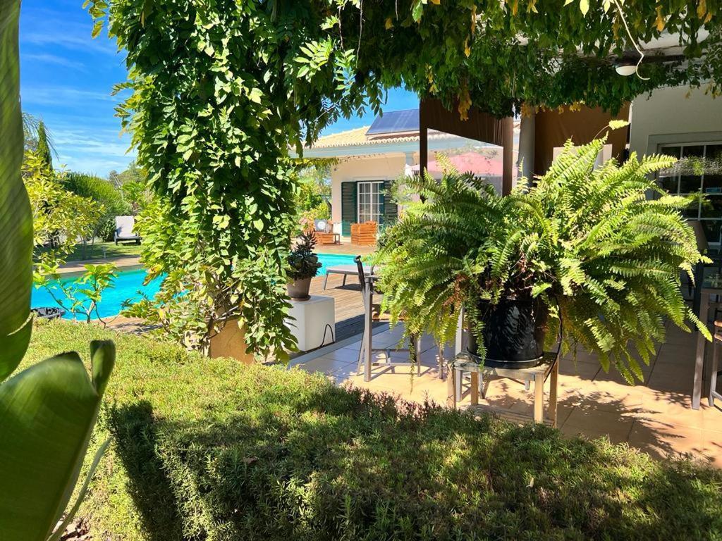 Buganvilias Do Meco Guest House Sesimbra Luaran gambar